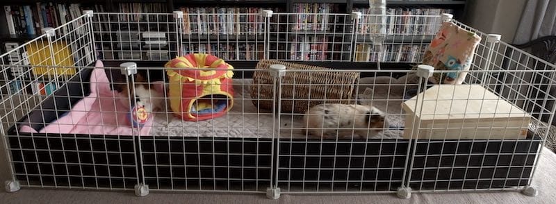 How to Make a Guinea Pig Cage DIY C C Modular Full Guide